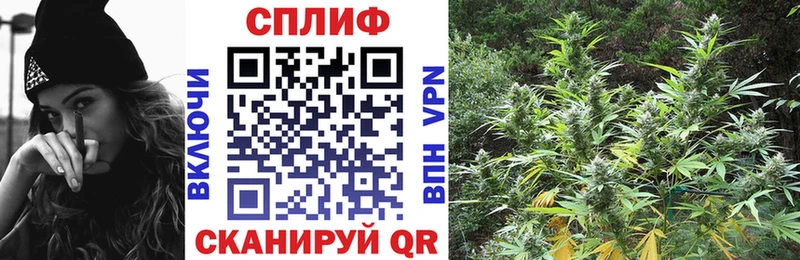Марихуана SATIVA & INDICA  Купить где  Жуковка 
